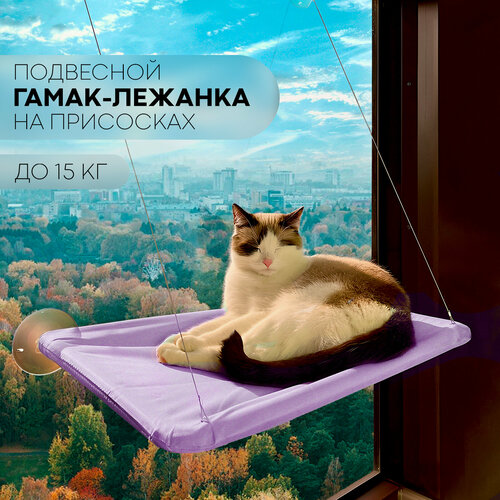 ���� �������� �������� ����� ����� ��� ����� � ����� �� ����, ����� ��������, ����������, ������ ������