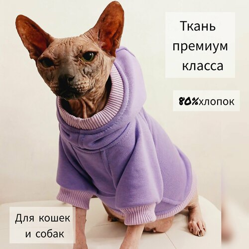 ���� ��������� � ��������� ��� ����� � ����� ������ ����� (����������), ������ ������