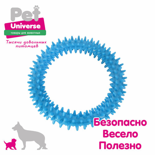     Pet Universe     12,5 , , , PU3064BE   -     , -  