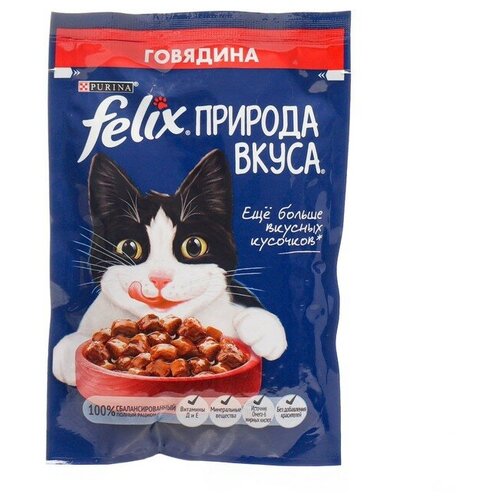       Felix    75 x 26   -     , -  