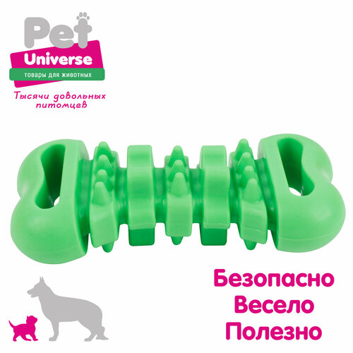 ���� ������� ��� ����� Pet Universe �������������� �������� ��� ������� 12 ��, ���, ������, PU3078GN, ������ ������