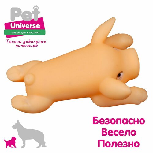 ���� ������� ��� ����� Pet Universe �������� �������� �� ������ � �������� 12,5�8 ��, �����, ����� PU3026Y, ������ ������