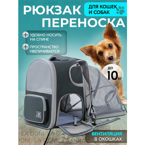 ���� ��������� ������ ��� �������� ����� � ����� ����������, ������ ������