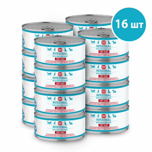      Solid Natura VET Intestinal     ,  16   100    -     , -  