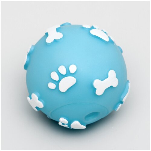 ���� ����� ������� 