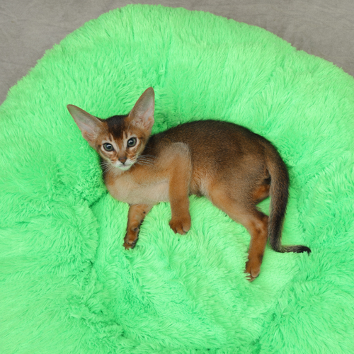 ���� �������� ������� 100x80 �� ��� �����, ���� �������, ���. PNL100x80, ������ ������