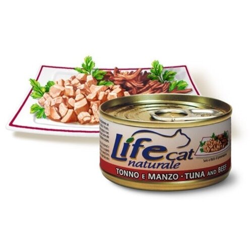  Lifecat       85 124 (18 )   -     , -,   