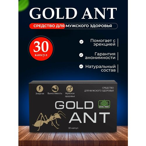    Gold Ant ,  ,    30 ,  