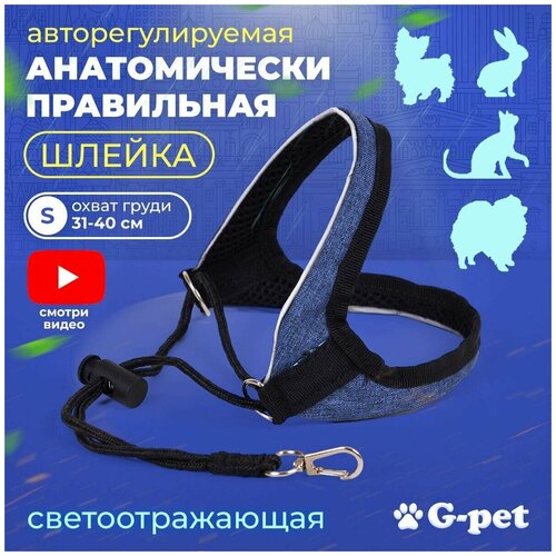       ,  G-pet   - S (31-40 )   , , -,    -     , -  