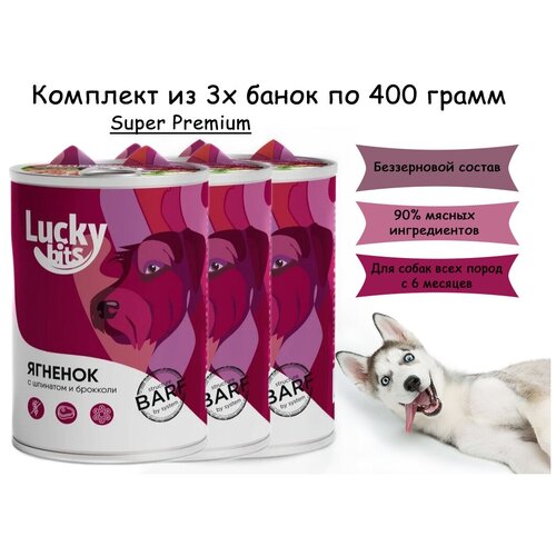      ,   ,    6 , Lucky bits, , 3   400    -     , -,   