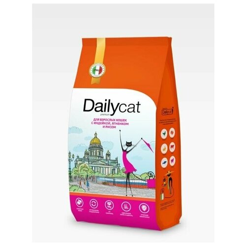  Dailycat Casual       ,    - 1,5 