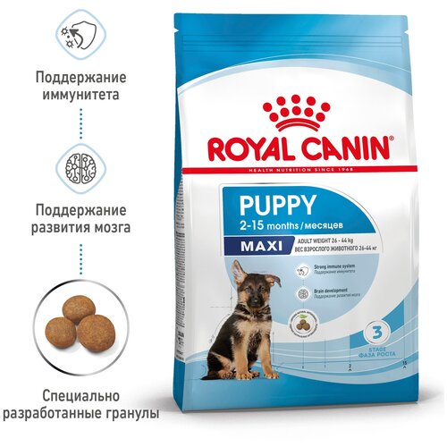      Royal Canin   ,      1 .  2 .  3000  (  )   -     , -  