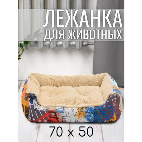 ���� ������� ��� ����� �����, ����� ��� �������� ������ � ������� �����, � ��������, ������ 70 ��. ����: ��� �������, ������ ������