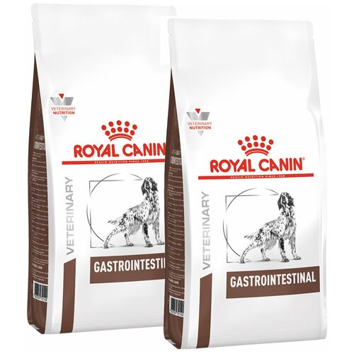    ROYAL CANIN GASTRO INTESTINAL      -  (2 + 2 )   -     , -  