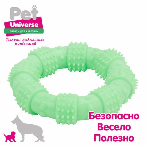     Pet Universe     123 , , , PU3062GN   -     , -  