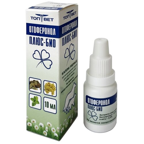 ���� ����� -����� ���-��� ���������� ����-��� , 10 ��, ������ ������