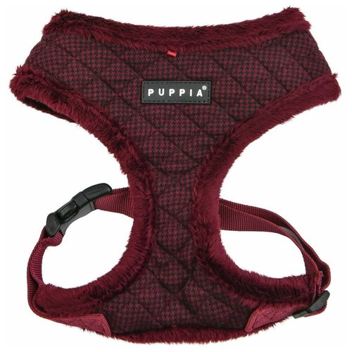  Gaspar harness A   -     , -  