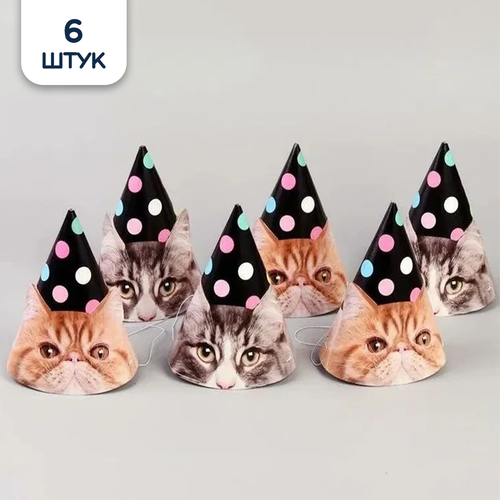 ���� ������ ������ ������������� 6��/G, ������ ������