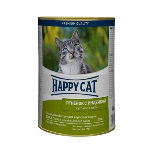  Happy cat         0,4  23327 (2 )   -     , -,   