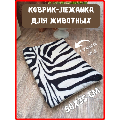 ���� �������-������ ��������� ��� �������� 