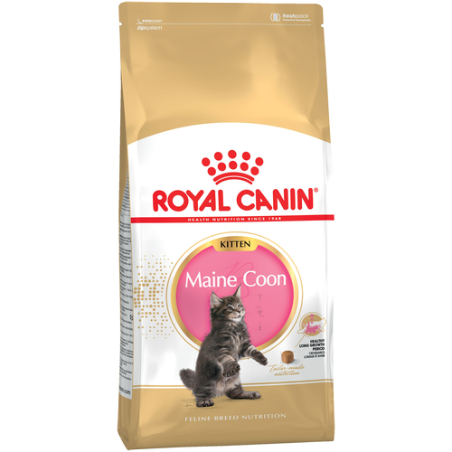    RC Kitten Maine Coon    , 2    -     , -,   