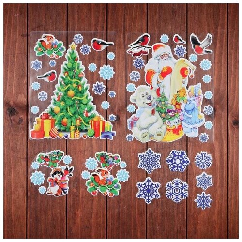 ���� ����� ������� �� ���� 