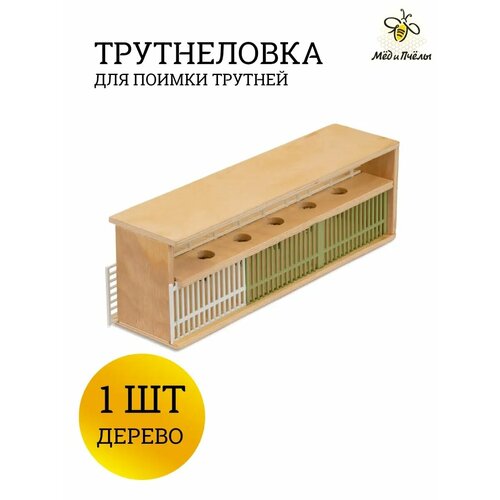 ���� ����������� ��� ����, ������ ������