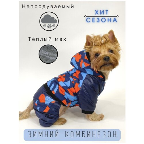 ���� ��������� ���������� ��� ����� ������ � ������� ����� / � ��������� �� ���� / ������ L, ������ ������