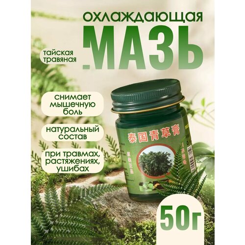 ���� ���� ���� �������������� �����������, ������ ������