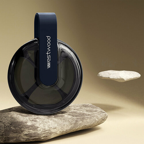 ���� ����������, ������ ������