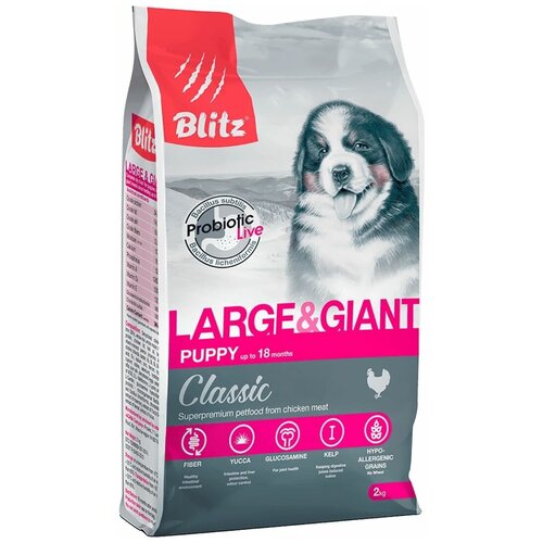          Blitz Classic Puppy Large & Giant  2    -     , -  