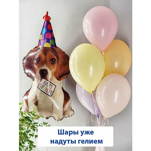 ���� ������ ��������� ����� � ������, ��������� ���� �� ���� �������� 