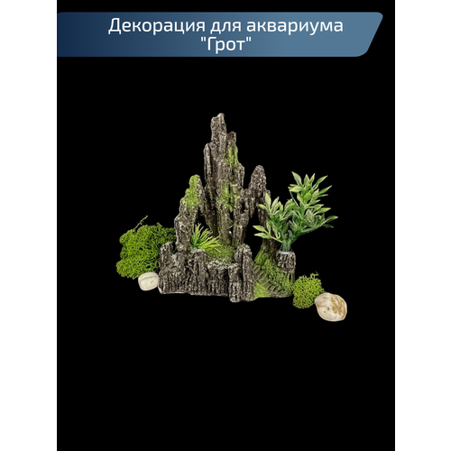 ���� ����� ��� ��������� � ���������� Justmarket, ������ ������