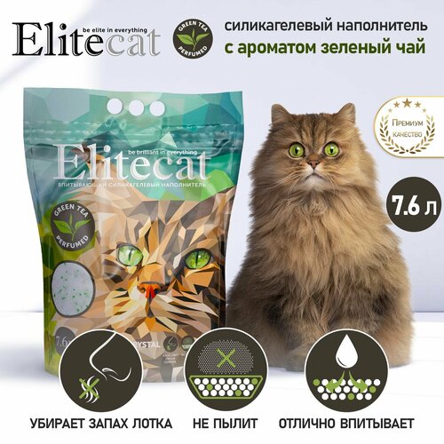       ELITECAT 