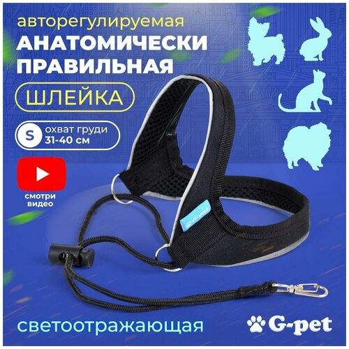            5  G-pet  - S (31-40 )          -     , -  