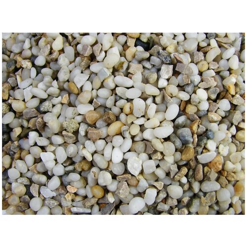 ���� ����� ��� ��������� - ������ ������� ��������� ���, 2-5 ��, 1 ��, ������ ������