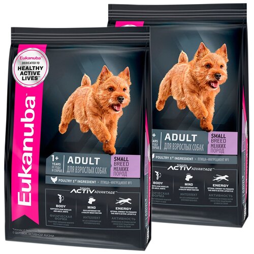  EUKANUBA ADULT SMALL BREED        (0,8 + 0,8 )   -     , -  