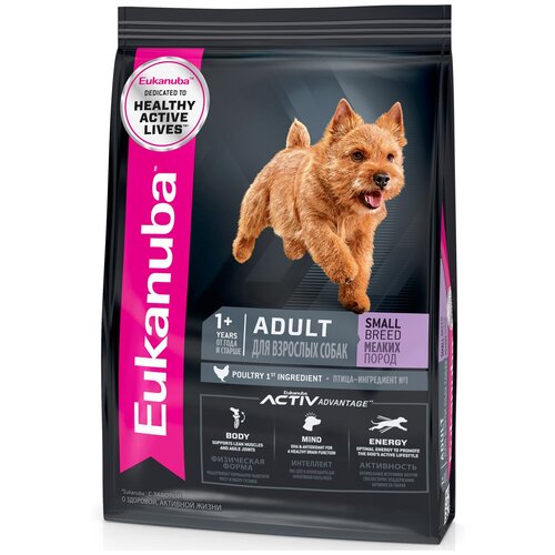      Eukanuba     ,     ,  1 .  1 .  800  (   )   -     , -  