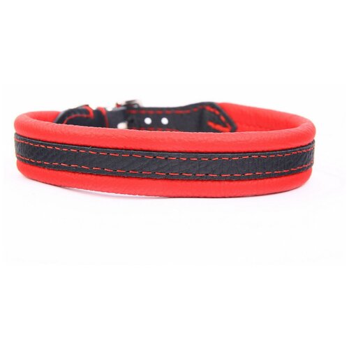 ���� ������� ��� ����� ZOOLESZCZ