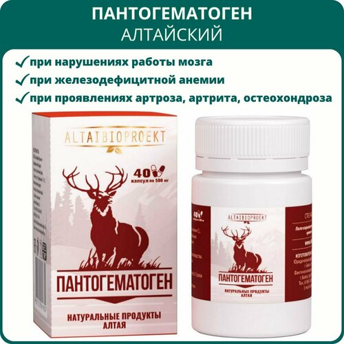 ���� �������������� ���������, 40 ������. ��� ������ �����, ��������� ������, ������������, ����������� ��� ���������, ������ ������