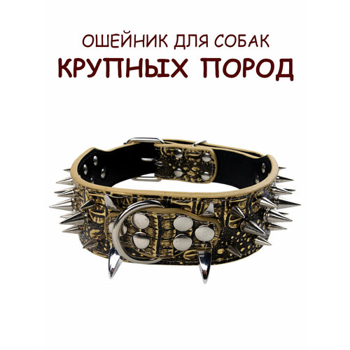 ���� ������� � ������ ��� ����� ������� � ������� �����, ����������, ������ M, ������ ������