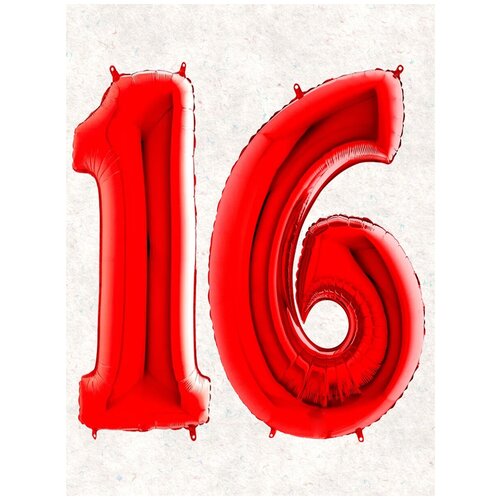 ���� ����� �����: ����� 16 ���, 100 ��, ������ ������