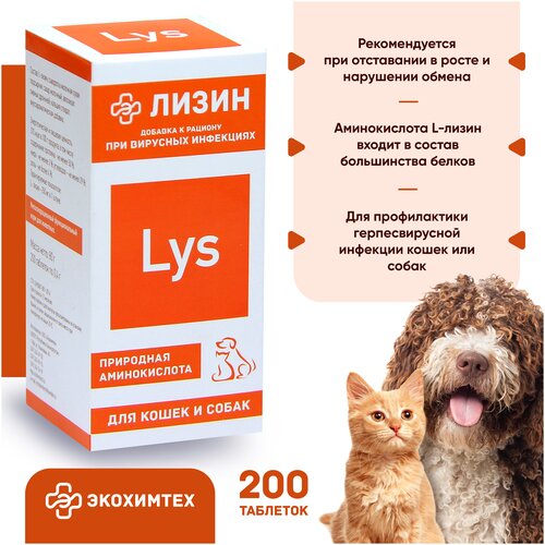  L-lysine        200    -     , -  