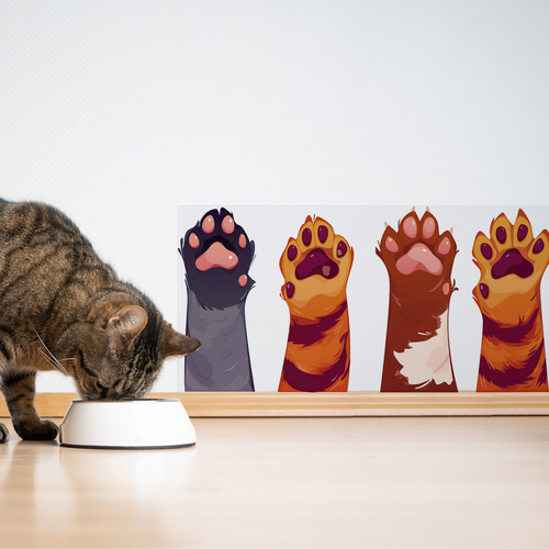 ���� �������� ������������� ������ / ������ ��� ������������� ���� � ���� �� ����� ��������� ��� ������� 