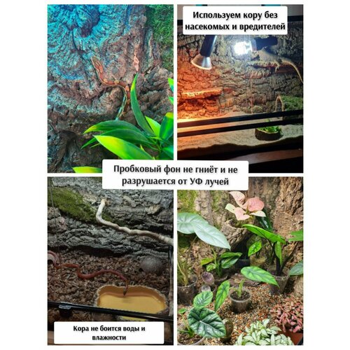 ���� ��� ��� ���������� 55*34�� �������� 3D �� ��������� ���� �����������, ������ ������