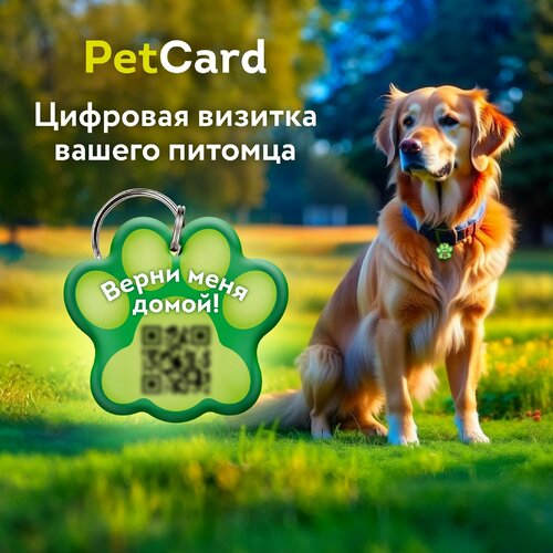   PetCard      QR   NFC, .   -     , -  