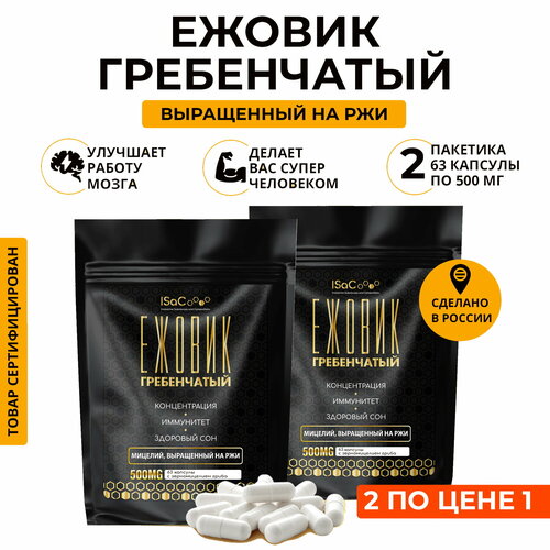 ���� ������ ����������� ������� �� ���. ����� 1+1, ������ ������