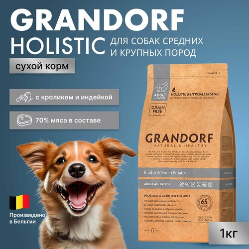           Grandorf    , 1   -     , -  