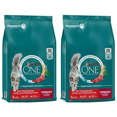   PURINA ONE 2   3         ,       3    -     , -  