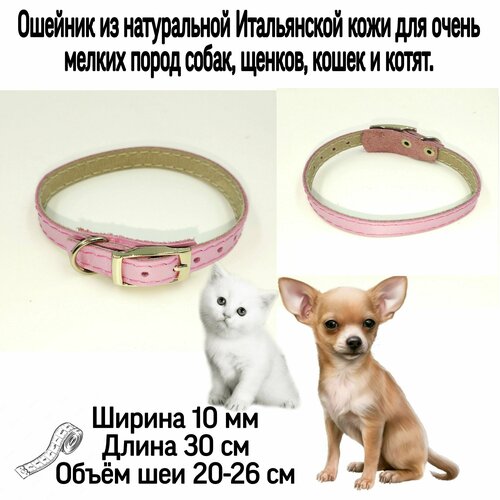 ���� ������� �� ����������� ����������� ���� ��� ����� ������ ����� �����, ����� � ������, �����. ������ 10 ��, ����� 30 ��, ����� 20-26, ������ ������